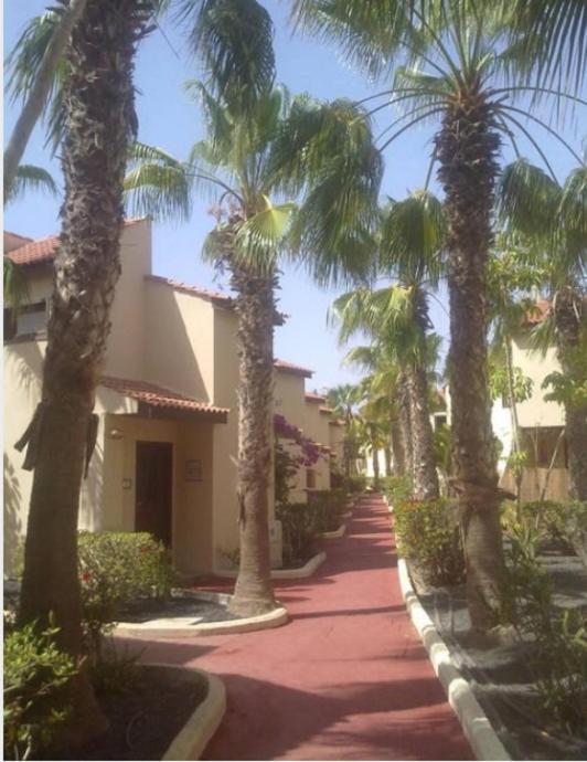 Relax A 10 Minuti Da Corralejo Villa Parque Holandes Exteriör bild